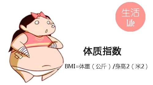 不要太瘦_微胖_BMI_骨密度測定.jpg